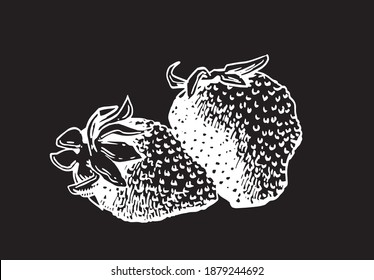 Vector hand-drawn strawberries isolated on black background, illustration