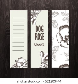 Vector hand-drawn template banner with wild dog rose.Brier. Eglantine. Design for cosmetics, store, beauty salon, natural and organic products. Can be used like a greeting card. With place for text
