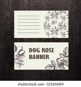 Vector hand-drawn template banner with wild dog rose.Brier. Eglantine. Design for cosmetics, store, beauty salon, natural and organic products. Can be used like a greeting card. With place for text