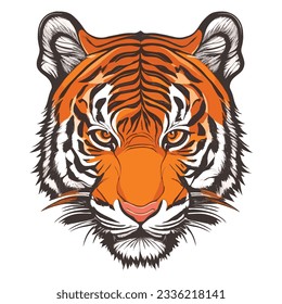 A vector, hand-drawn tiger head illustration, isolated, on white background