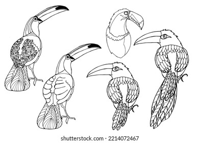Vector hand-drawn toucan. Hand drawing coloring book for children and adults. Beautiful drawings.