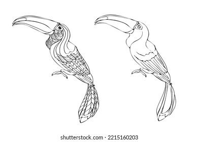 Vector hand-drawn toucan. Hand drawing coloring book for children and adults. Beautiful drawings.