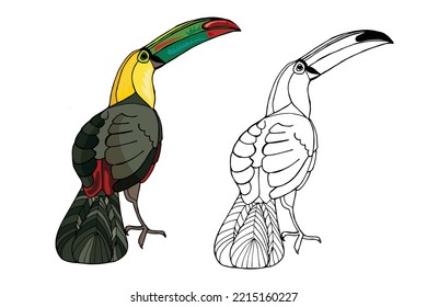 Vector hand-drawn toucan. Hand drawing coloring book for children and adults. Beautiful drawings.