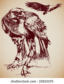 Vector Hand-drawn, two grungy Eagles.