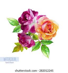 Vector hand-drawn watercolor illustration. Bouquet of roses isolated on a white background. 