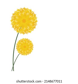 Vector hand-drawn watercolor yellow circular floral wreath with blooming spring flowers, green leaves on white isolated background.