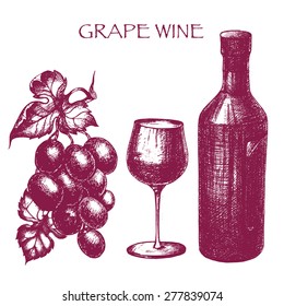 vector hand-drawn wine background in sketch style