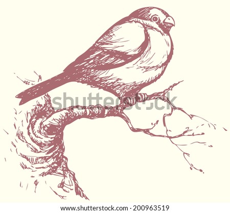 Vector Handmade Drawing Series Monochrome Sketches Stock Royalty Free 200963519