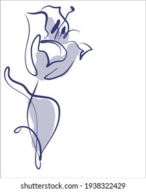 Vector handmade fashion digital floral background with beautiful tulip for design florist logo 