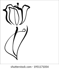 Vector handmade fashion digital fashion floral sketch background with beautiful flower tulip for design florist logo 