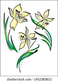 Vector handmade fashion digital floral sketch set with beautiful flower narcissus for design florist logo 