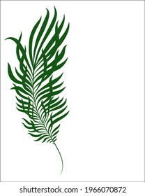 Vector handmade fashion digital floral sketch background with Palm branch for design travel logo 