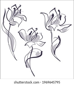 Vector handmade fashion digital floral sketch background with beautiful tulip for design flower logo 