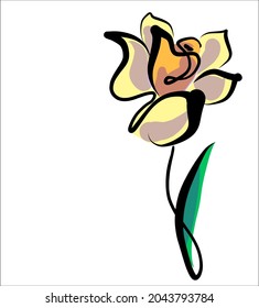 Vector handmade fashion digital floral sketch illustration with beautiful narsissus for design floral logo 
