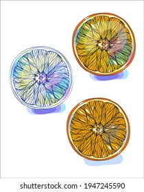 Vector handmade fashion digital food background with fruit for design logo 