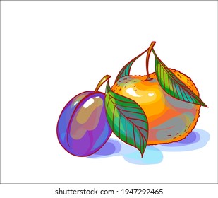 Vector handmade fashion digital food background with fruit tangerine and plum  for design logo 