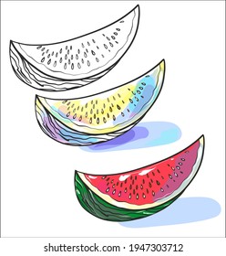 Vector handmade fashion digital food sketch set  with fruit watermelon for menu design 