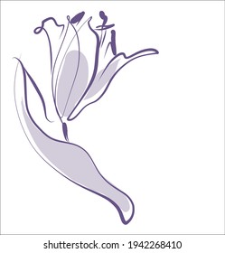 Vector moda hecha a mano primavera digital fondo floral con hermoso tulipán para el logo de flor de diseño 
