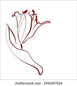 Vector handmade fashion digital spring floral background with beautiful tulip for design flower logo 