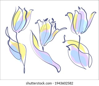 Vector handmade fashion digital spring floral set with beautiful tulip for design flower logo 
