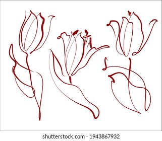 Vector handmade fashion digital spring floral set with beautiful tulip for design flower logo 