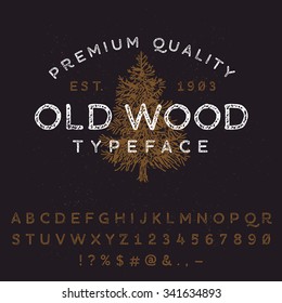 Vector handmade font. Vintage styled grunge textured typeface. Latin alphabet letters and numbers.