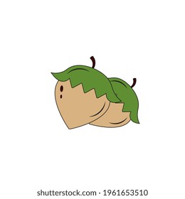 Vector handmade hazelnut for label template, packaging and logo farm market design, children's study. Minimalism style