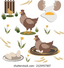 Ilustración hecha a mano por vectores con pollo y huevos.