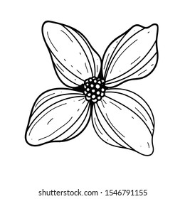 Vector hand-painted ink illustration with brush strokes. Abstract simple in sketch style. Black and White. Isolated on white background