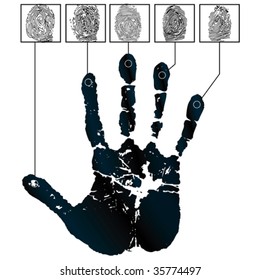 Vector hand-prints and five fingerprints