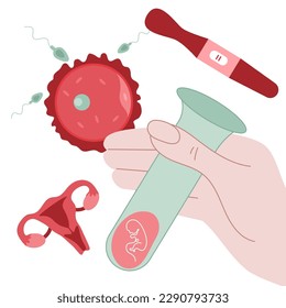 The vector with hands hold test-tube with embryo for artificial insemination. Set pregnancy elementas, womb, uterus, egg cell, sperm cell, and positive test. 