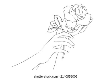 Vector of hands are holding a rose.