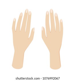 Vector hands isolated on white background. Vector illustration for your graphic design.
