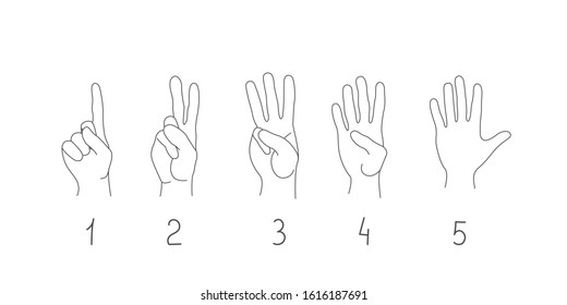 Arabic Sign Language Hands Vector Cartoon Stock Vector (Royalty Free ...