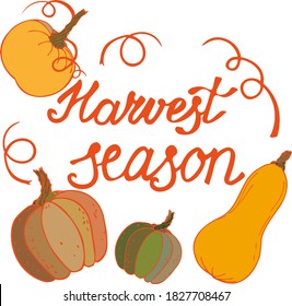 Vector handwriting lettering motivation phrase. Vector multicolor pumpkin images. Orange, brown and green autumn vector illustration.