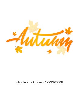 Vector handwriting word autumn. Hand drawn lettering autumn with maple leaves. Modern calligraphy.