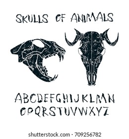 Vector handwritten brush font. Silhouettes of skulls of animals. Graphic design with rough texture