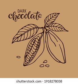 Vector handwritten Dark Chocolate text and Cacao beans with leaves sketch on brown background. Doodle Outline illustration for cafe, shop, menu. Organic food sketch. For label, logo, emblem, symbol