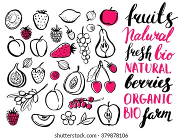 Vector handwritten elements with rough edges. Healthy food. Farm natural product.  Ink brush hand lettering. Fruits and berries. Icons. Calligraphy.