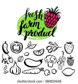 Vector handwritten food elements. Logo. Healthy farm natural bio product. Ink brush hand lettering. Fruits, berries and vegetables. Icon.