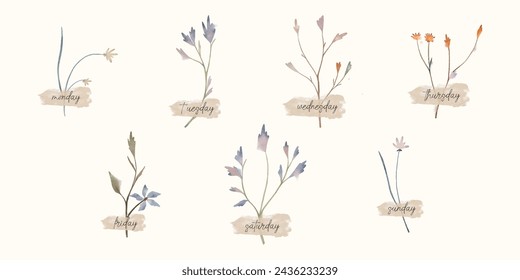 Vector handwritten week days on a wild flowers. Ink font. Stickers for planner and other. Clipart. Stickers with filed flowers in watercolour style