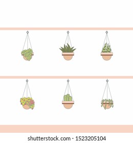 vector hanging cacti plants illustration