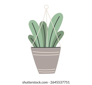 Vektor hängende Hauspflanze in Topf. Minimales, flaches Innendekorationselement für gemütliche Innenräume, Öko-Living-Visuals, Lifestyle-Konzepte oder botanische Designs. Isolierte Cartoon-Illustration.