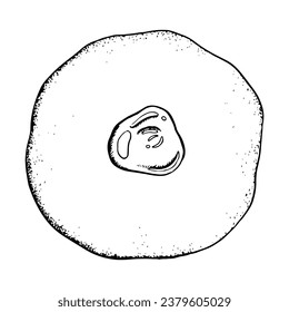Vector Hanukkah donut with jam black and white illustration, top view. Hand drawn traditional Jewish holiday sufganiyah