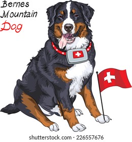 Vector Happy Bernese mountain dog with a first aid kit and Swiss flag