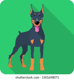 Vector happy dog Doberman Pinscher body icon flat design