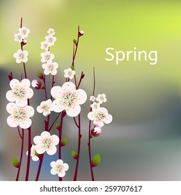 Vector happy easter card, wedding invitation template with an image of spring blossoming apricot  branches with a lot of flowers