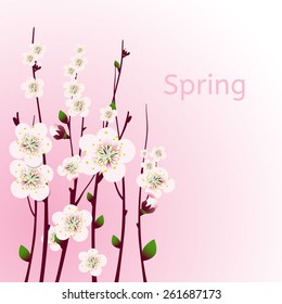 Vector happy easter card, wedding invitation template with an image of spring blossoming apricot  branches with a lot of flowers with blurred watercolor background