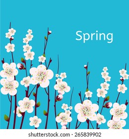 Vector happy easter card, wedding invitation template with an image of spring blossoming apricot branches with a lot of flowers with blue background