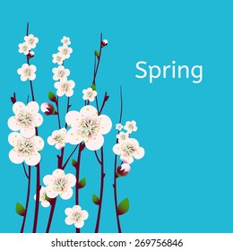 Vector happy easter card, wedding invitation template with an image of spring blossoming apricot  branches with a lot of flowers with blue background